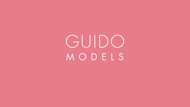 Guido Models (2015)